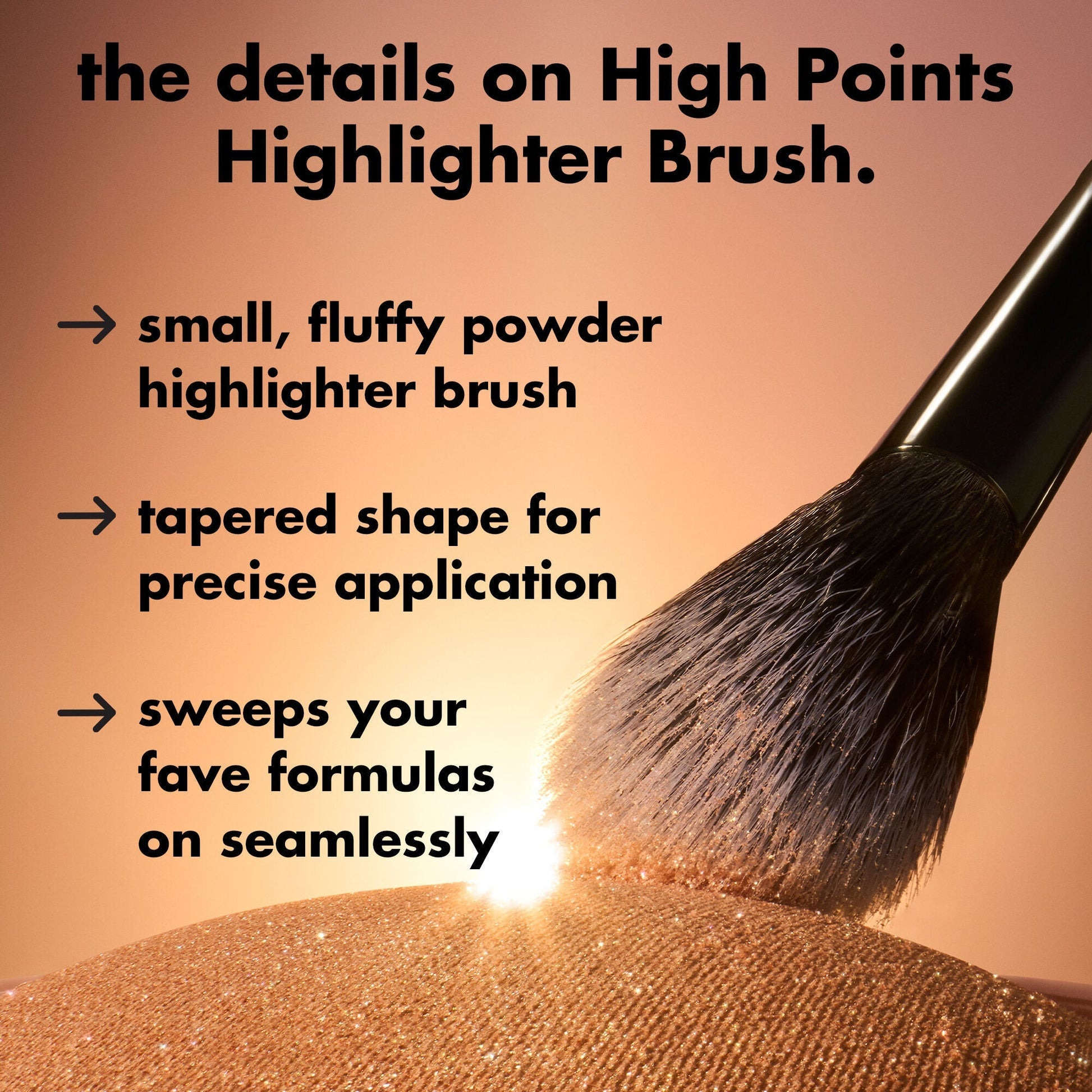 high-points-highlighter-brush-r2 0226_EDU_HighpointsHighlighterBrush_Details.jpg