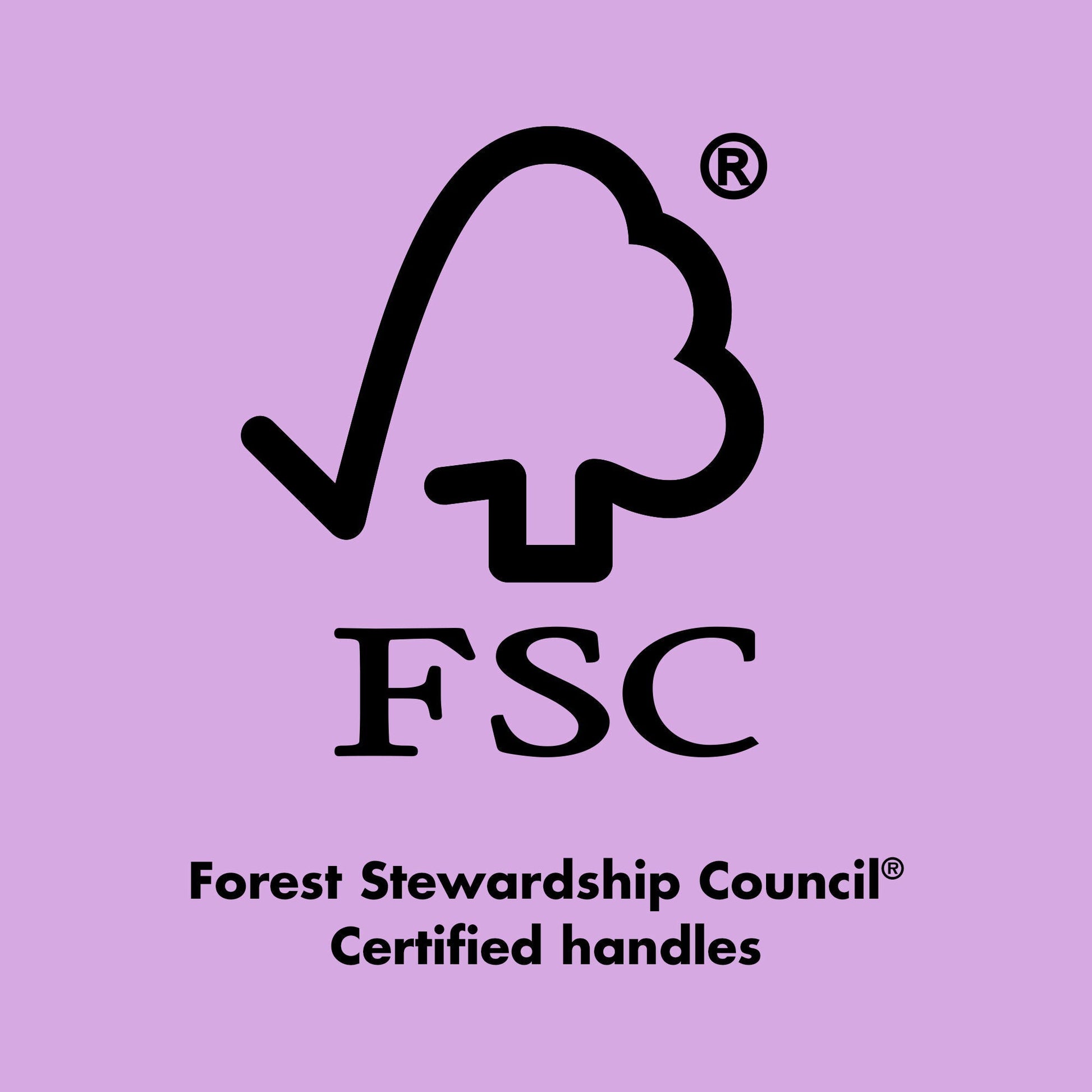 ten-out-of-ten-brush-kit-v9 0423_EDUCATION_FSC_EVERGREEN.jpg