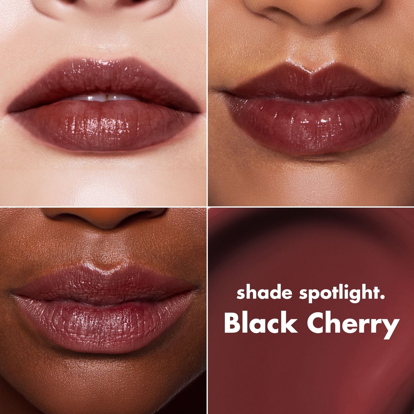 lip-lacquer-v0 0426_EDU_LipLaquer_ShadeChart_BlackCherry.jpg