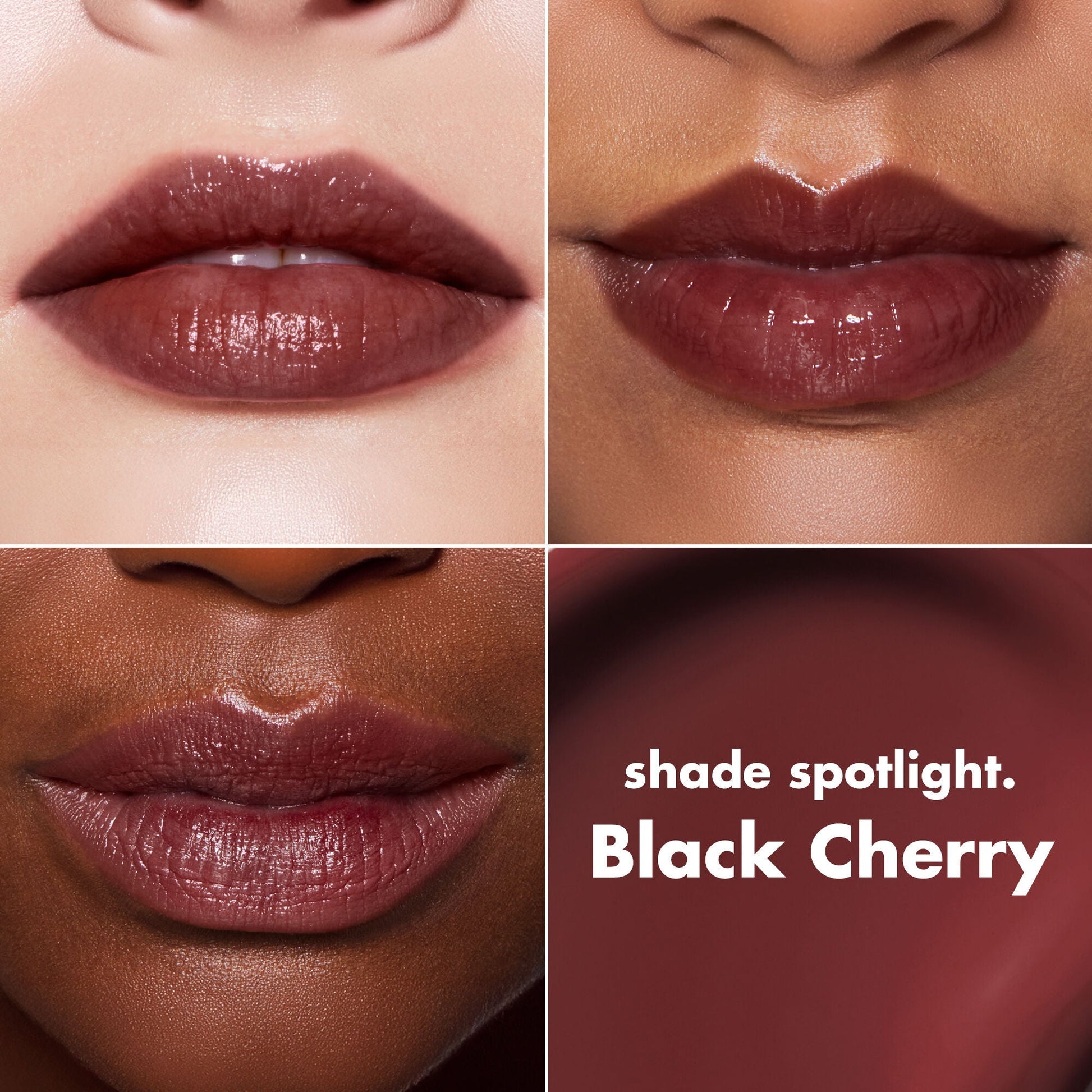lip-lacquer-v0 0426_EDU_LipLaquer_ShadeChart_BlackCherry.jpg