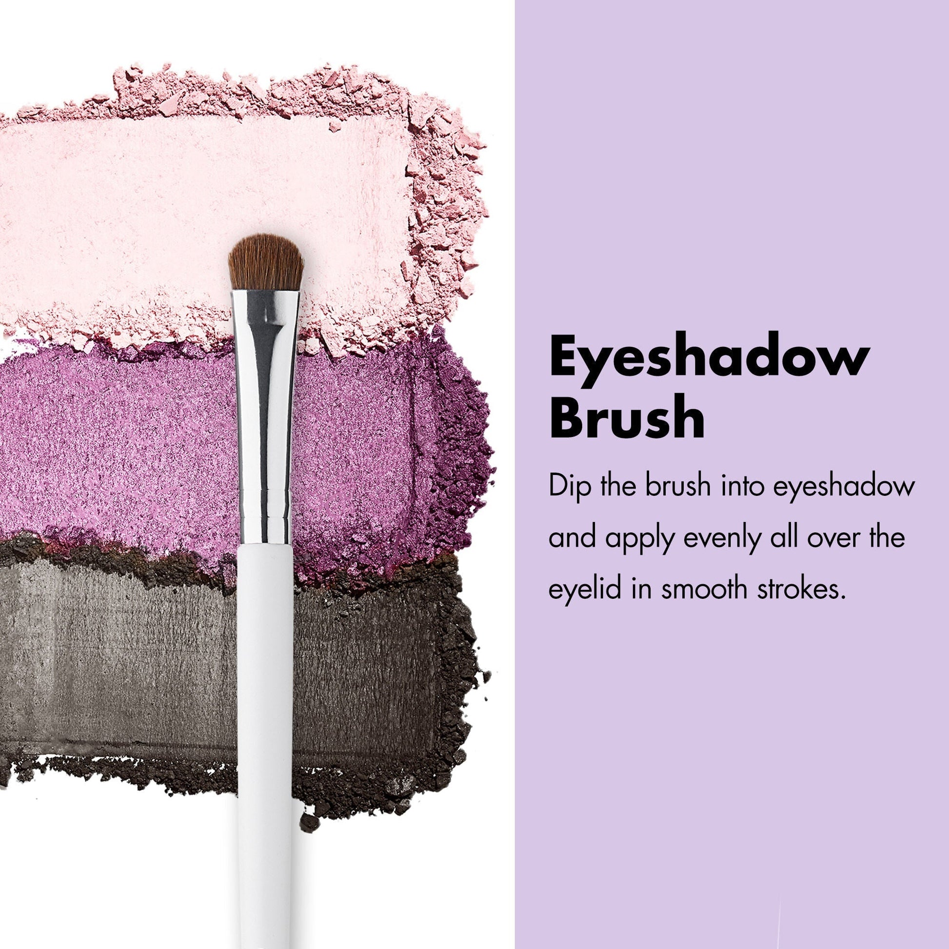 professional-set-of-12-makeup-brushes-k0 ProfessionalBrushes_Eye_EyeshadowBrush_PDP_Edu_2000x2000_2418e3b8-bb65-4e6d-af53-e6d0aab002ae.jpg